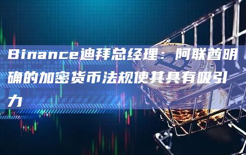 Binance迪拜总经理:阿联酋明确的加密货币法规使其具有吸引力 Binance迪拜总经理:阿联酋明确的加密货币法规使其具有吸引力
