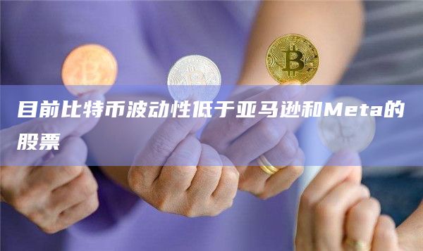目前比特币波动性低于亚马逊和Meta的股票插图 目前比特币波动性低于亚马逊和Meta的股票