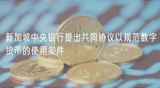 新加坡中央银行提出共同协议以规范数字货币的使用条件