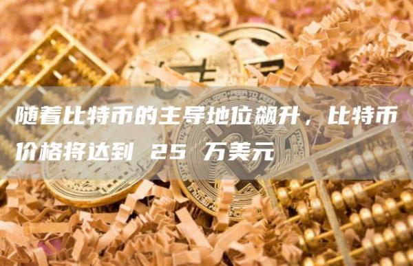 随着比特币的主导地位飙升，比特币价格将达到 25 万美元