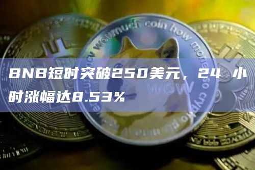 BNB短时突破250美元，24 小时涨幅达8.53%