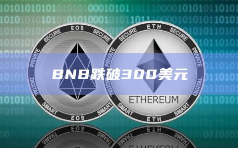 BNB跌破300美元