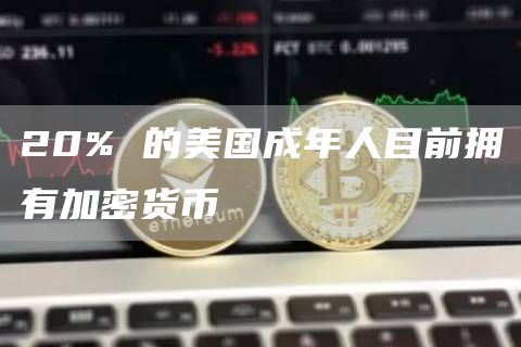 20% 的美国成年人目前拥有加密货币