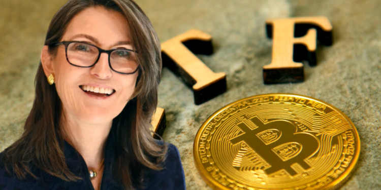 方舟基金抢先贝莱德：有望8月获SEC批准比特币现货ETF