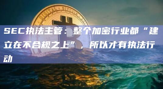 SEC执法主管：整个加密行业都“建立在不合规之上”，所以才有执法行动