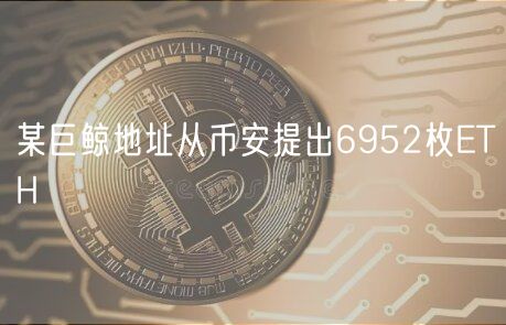 某巨鲸地址从币安提出6952枚ETH