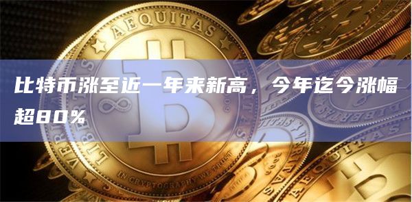 比特币涨至近一年来新高，今年迄今涨幅超80%