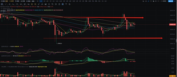 加密市场熊市出现反弹 投资者需要小心市场情绪陷阱