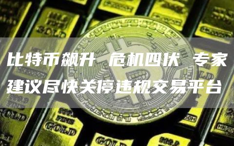比特币飙升 危机四伏 专家建议尽快关停违规交易平台 比特币飙升 危机四伏 专家建议尽快关停违规交易平台