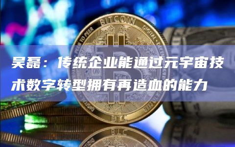 吴磊：传统企业能通过元宇宙技术数字转型拥有再造血的能力