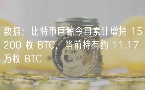 数据：比特币巨鲸今日累计增持 15200 枚 BTC，当前持有约 11.17 万枚 BTC