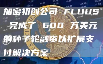 加密初创公司 FLUUS 完成了 600 万美元的种子轮融资以扩展支付解决方案
