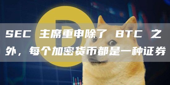 SEC 主席重申除了 BTC 之外，每个加密货币都是一种证券