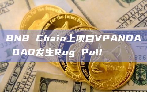 BNB Chain上项目VPANDA DAO发生Rug Pull