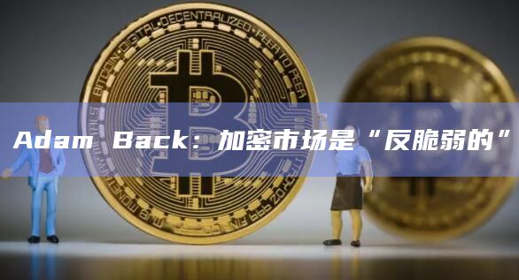 Adam Back:加密市场是“反脆弱的”