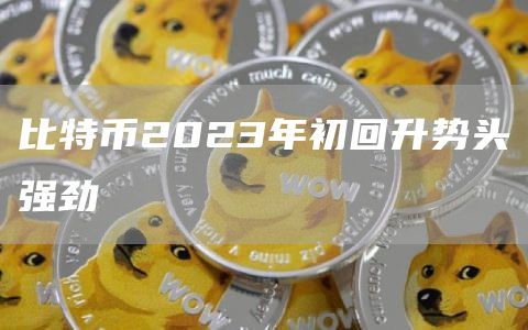 比特币2023年初回升势头强劲