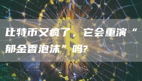 比特币又疯了，它会重演“郁金香泡沫”吗?