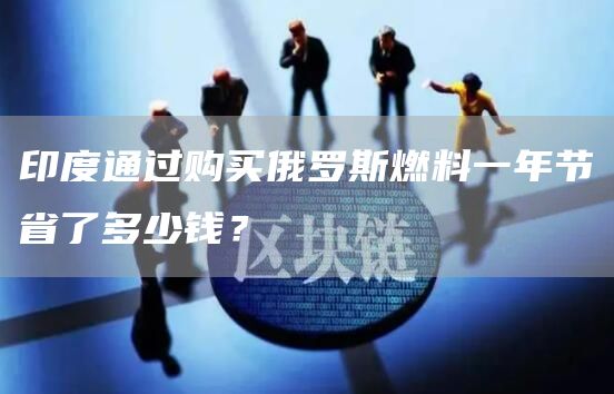 印度通过购买俄罗斯燃料一年节省了多少钱？