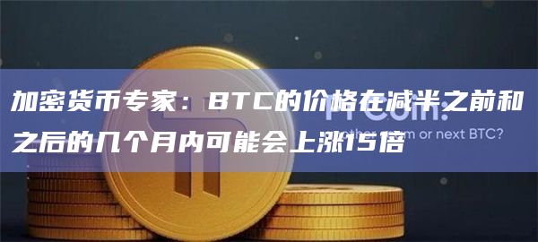 加密货币专家：BTC的价格在减半之前和之后的几个月内可能会上涨15倍