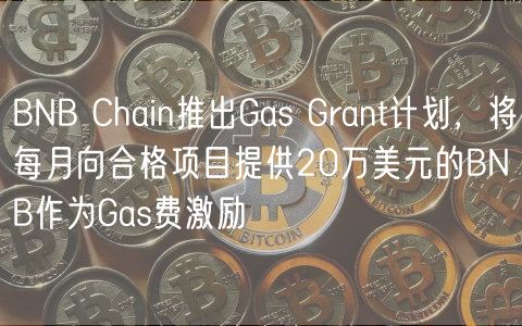 BNB Chain推出Gas Grant计划，将每月向合格项目提供20万美元的BNB作为Gas费激励