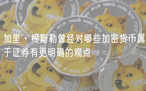加里·根斯勒曾经对哪些加密货币属于证券有更明确的观点