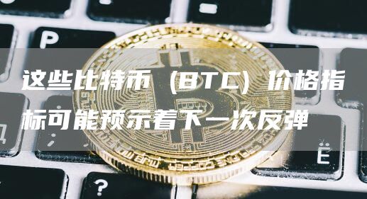 这些比特币 (BTC) 价格指标可能预示着下一次反弹