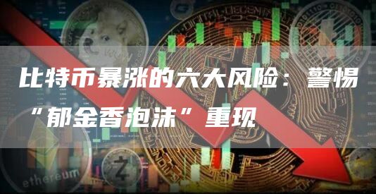 比特币暴涨的六大风险：警惕“郁金香泡沫”重现