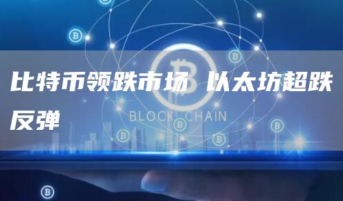 比特币领跌市场 以太坊超跌反弹