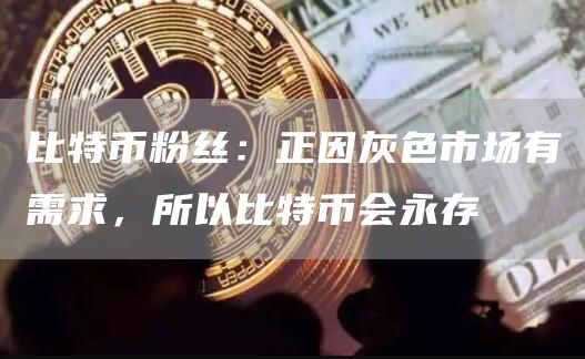 比特币粉丝：正因灰色市场有需求，所以比特币会永存