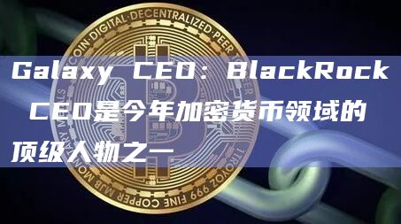 Galaxy CEO:BlackRock CEO是今年加密货币领域的顶级人物之一