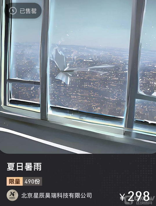 “丸卡”的风险评估4 “丸卡”的风险评估4