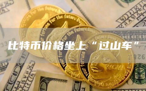 比特币价格坐上“过山车”