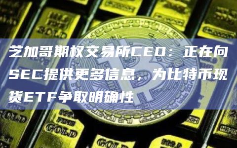 芝加哥期权交易所CEO:正在向SEC提供更多信息,为比特币现货ETF争取明确性