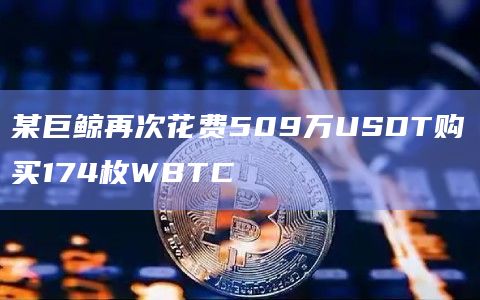 某巨鲸再次花费509万USDT购买174枚WBTC