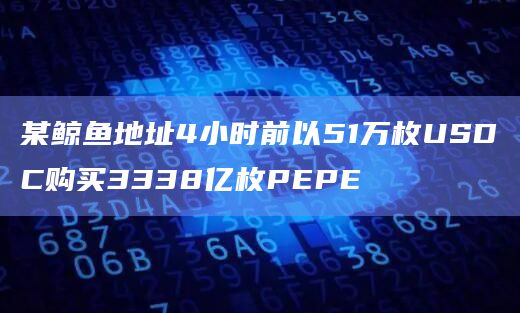 某鲸鱼地址4小时前以51万枚USDC购买3338亿枚PEPE