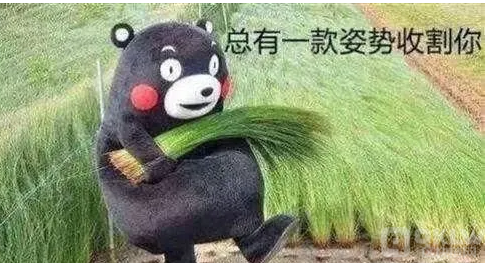 Vlado与TitanFX Club巨额诈骗