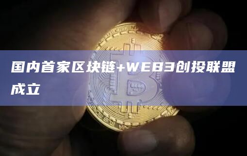 国内首家区块链+WEB3创投联盟成立