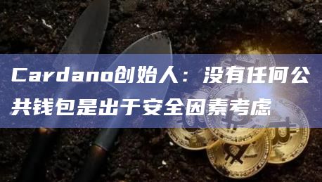 Cardano创始人：没有任何公共钱包是出于安全因素考虑