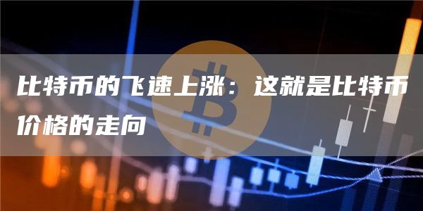 比特币的飞速上涨：这就是比特币价格的走向