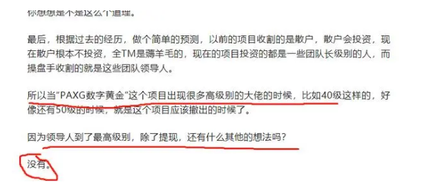 “PAXG数字黄金”项目深夜突然关网