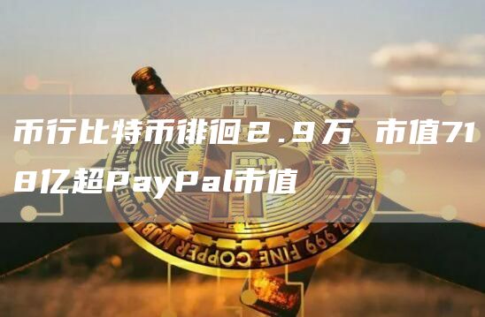 币行比特币徘徊２.９万 市值718亿超PayPal市值