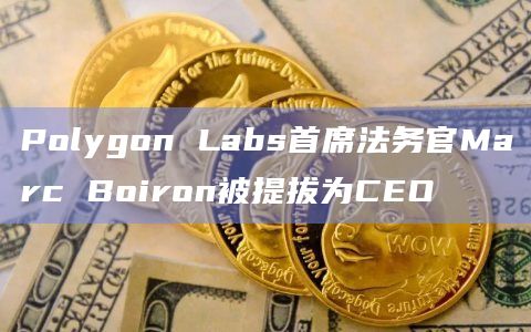 Polygon Labs首席法务官Marc Boiron被提拔为CEO