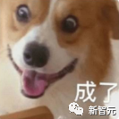 AI智能体卷爆大模型！AutoGPT等4大Agent打擂，「西部世界」谁将成为软件2.0？