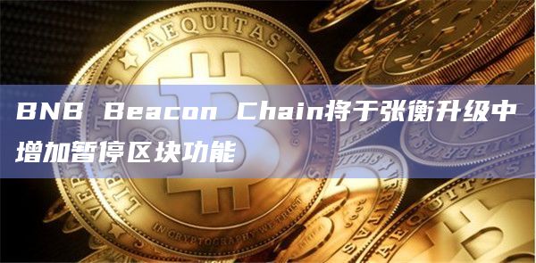 BNB Beacon Chain将于张衡升级中增加暂停区块功能