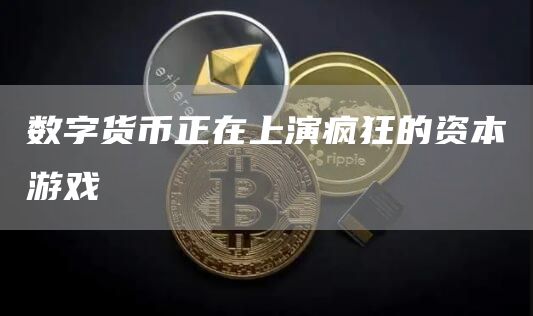 数字货币正在上演疯狂的资本游戏