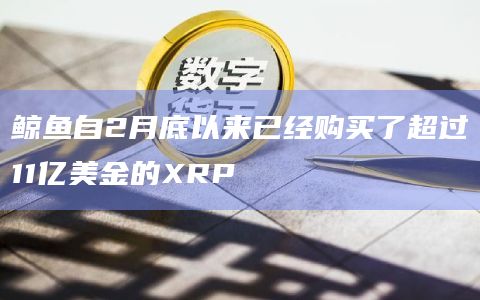 鲸鱼自2月底以来已经购买了超过11亿美金的XRP