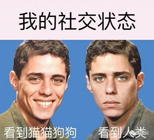 阿里100瓶毒药解马斯克难题?国内首个大模型价值对齐数据集开源,15万评测题上线!13 阿里100瓶毒药解马斯克难题?国内首个大模型价值对齐数据集开源,15万评测题上线!13