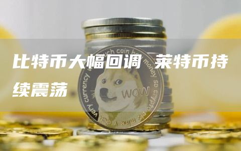 比特币大幅回调 莱特币持续震荡
