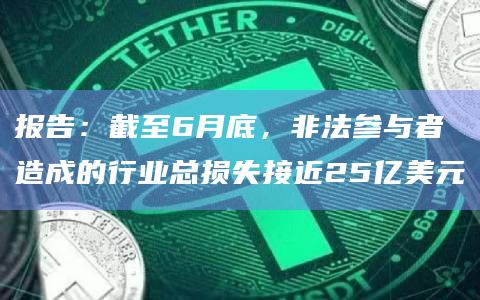 报告:截至6月底,非法参与者造成的行业总损失接近25亿美元