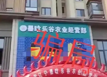 “乐谷农业”套路曝光